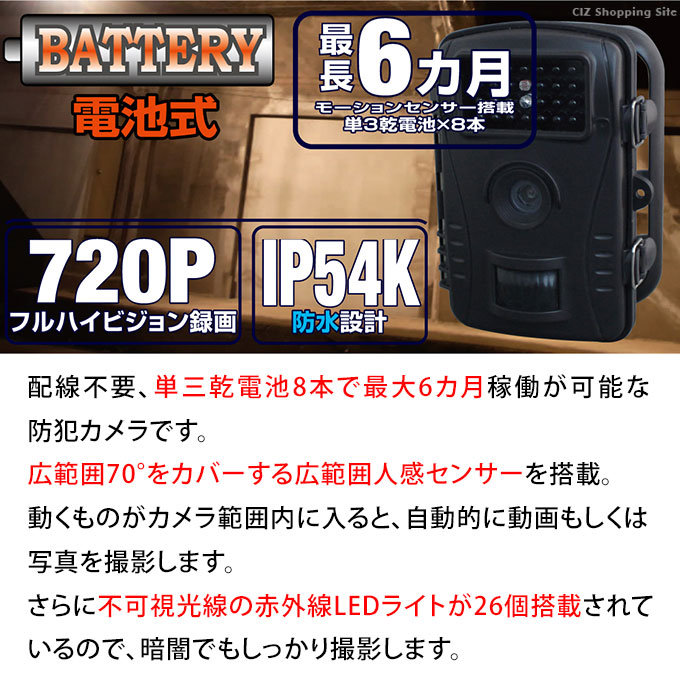 独特の上品 d-2131-01.jpg フィルムカメラ
