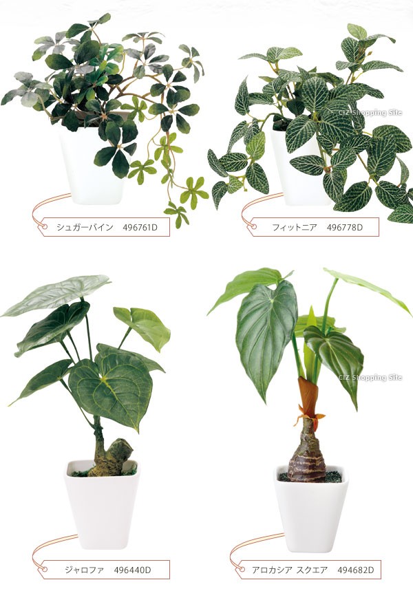 Qorfran 光触媒観葉植物 おしゃれ フェイクグリーン 本物 4個セット観葉植物 室内用