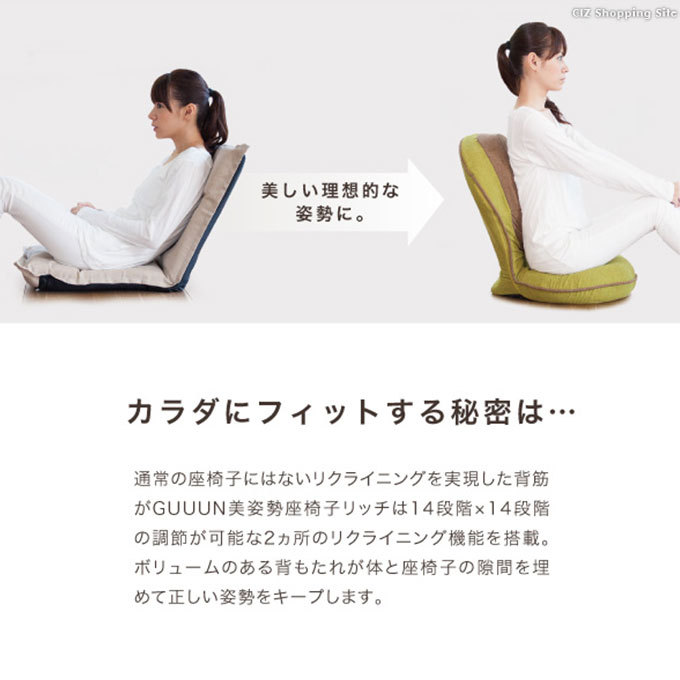 ドリーム プロイデア 座椅子 背筋がGUUUN 美姿勢座椅子 リッチ