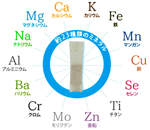 珊瑚くん 40袋入(200包) 六基食品株式会社 : 0002-0000-0006