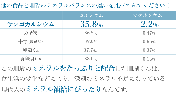 珊瑚くん 40袋入(200包) 六基食品株式会社 : 0002-0000-0006