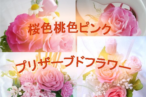 タイトル画像