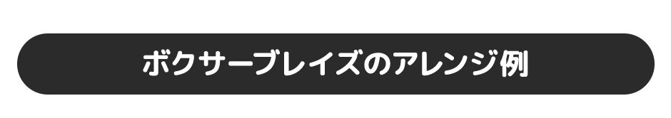 ボクサーブレイズのアレンジ例"