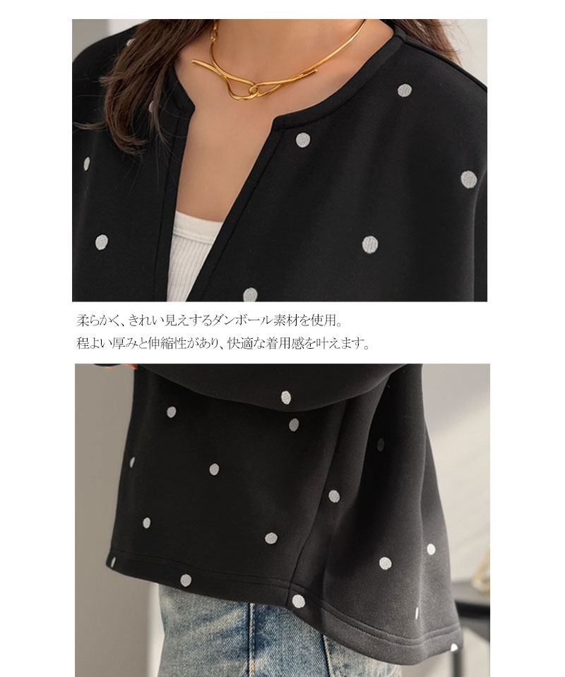 【Classical Evon】 ロンt レディース きれいめ トップス Tシャツ ドット 刺繍 袖 ぽわん キーネック 長袖 プルオーバー 大きいサイズ 春 夏 | classicalelf | 16