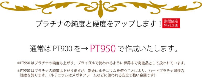 pt950　特別企画