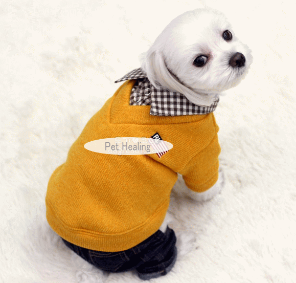 シャツ重ね着風ニット S〜XL 犬 服 : Pet Healing(ペットヒーリング