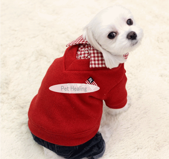 シャツ重ね着風ニット S〜XL 犬 服 : Pet Healing(ペットヒーリング