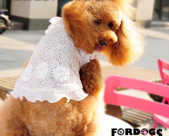 フリルレースT XS〜L（ハンガー無）【犬 長袖】 : Pet Healing(ペット