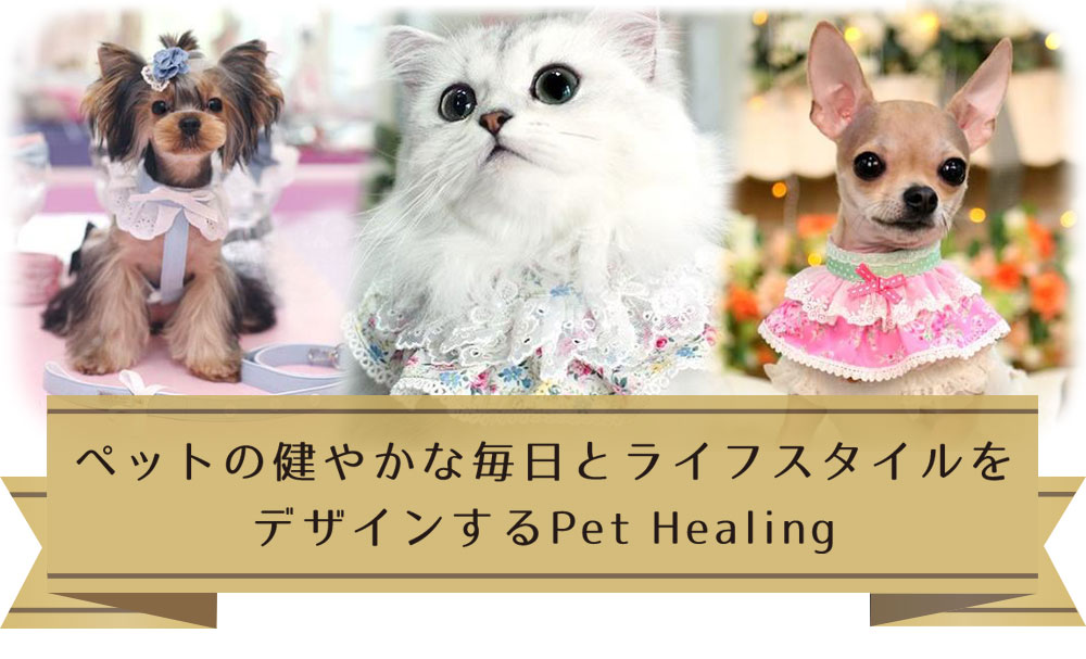 Pet Healing(ペットヒーリング) - Yahoo!ショッピング