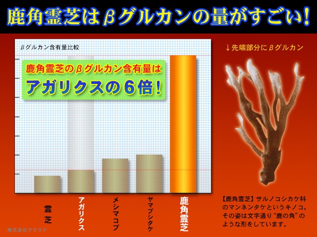 水溶性 鹿角霊芝 原液 100ml βグルカン 水抽出 国産原料 OHS : h00025