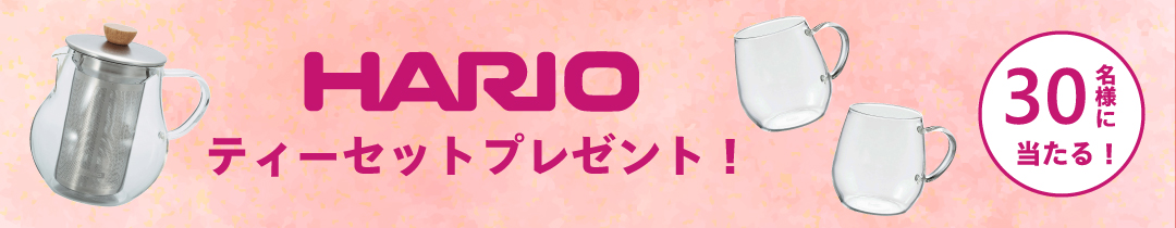 キャンペーン