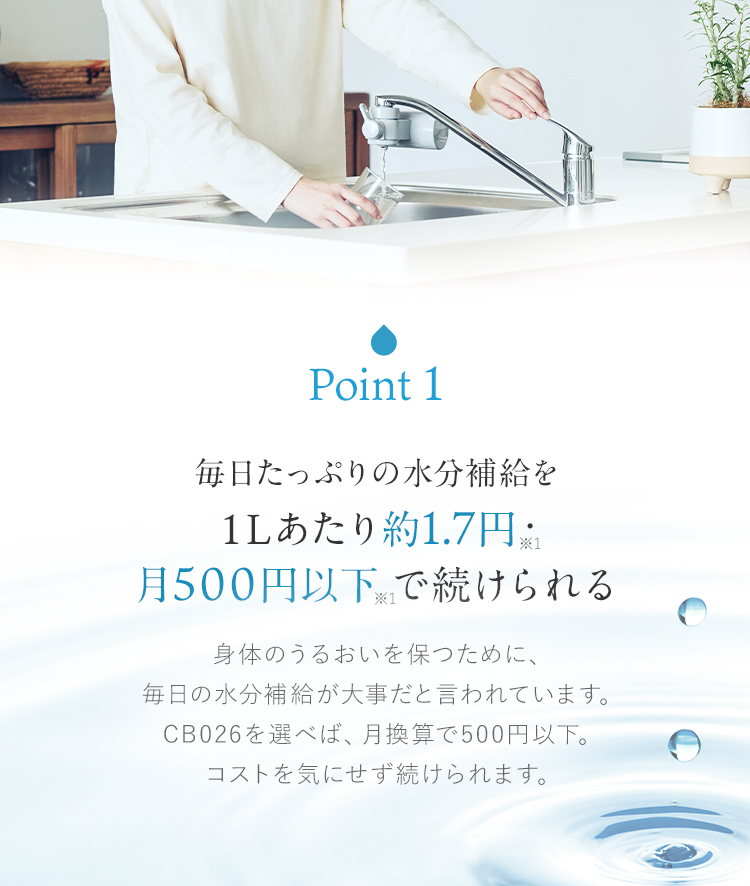 気の浄化栓】水晶20mm 1個×6か月 くどい