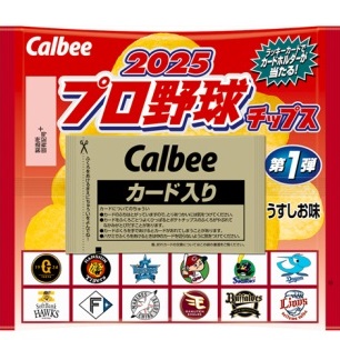 新品未使用ファイル付き　２０２１プロ野球チップスカード　第一弾　合計２０３枚 新品未使用ファイル付き 2021プロ野球チップスカード 第一弾