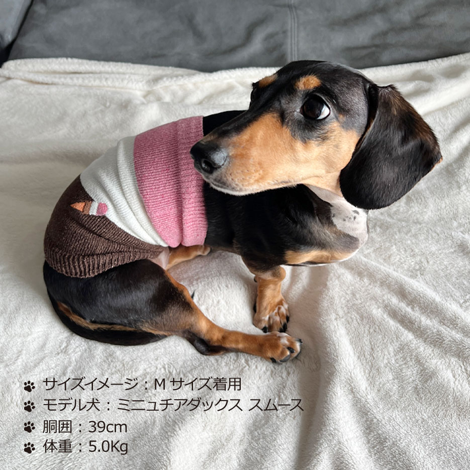 「日本製」 犬の服 腹巻 犬用 小型犬 超小型犬 服 ボーダー アイスクリーム柄 ドッグウエア  刺繍 可愛い 夏 冷房対策 冬 あったか 「ラッピング(有料）可」