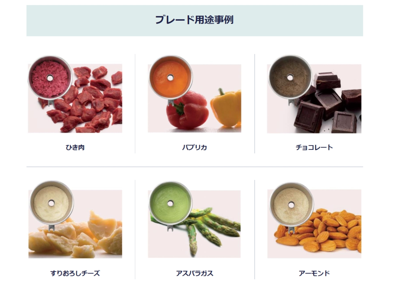 エレクトロラックス フードプロセッサー 業務用フードプロセッサー 5.5L 100V Electrolux（エレクトロ