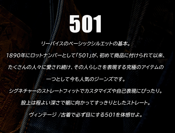 LEVI'S / リーバイス