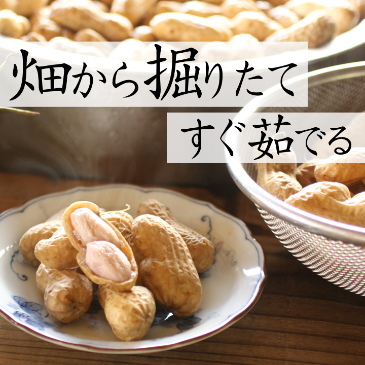 オオマサリのゆで落花生