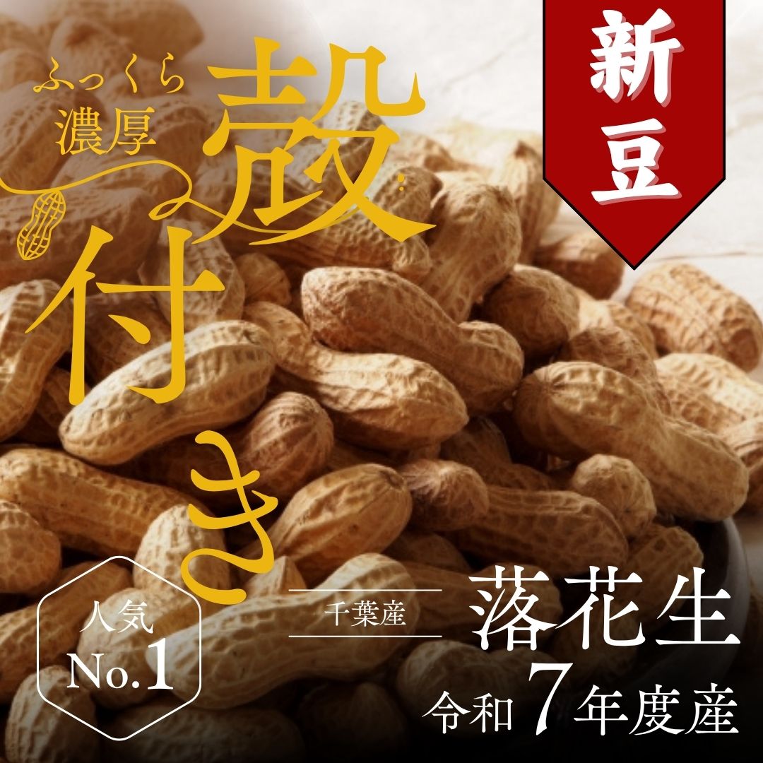 千葉 落花生 2025年 千葉県八街産 新豆【1袋】250g 殻付き