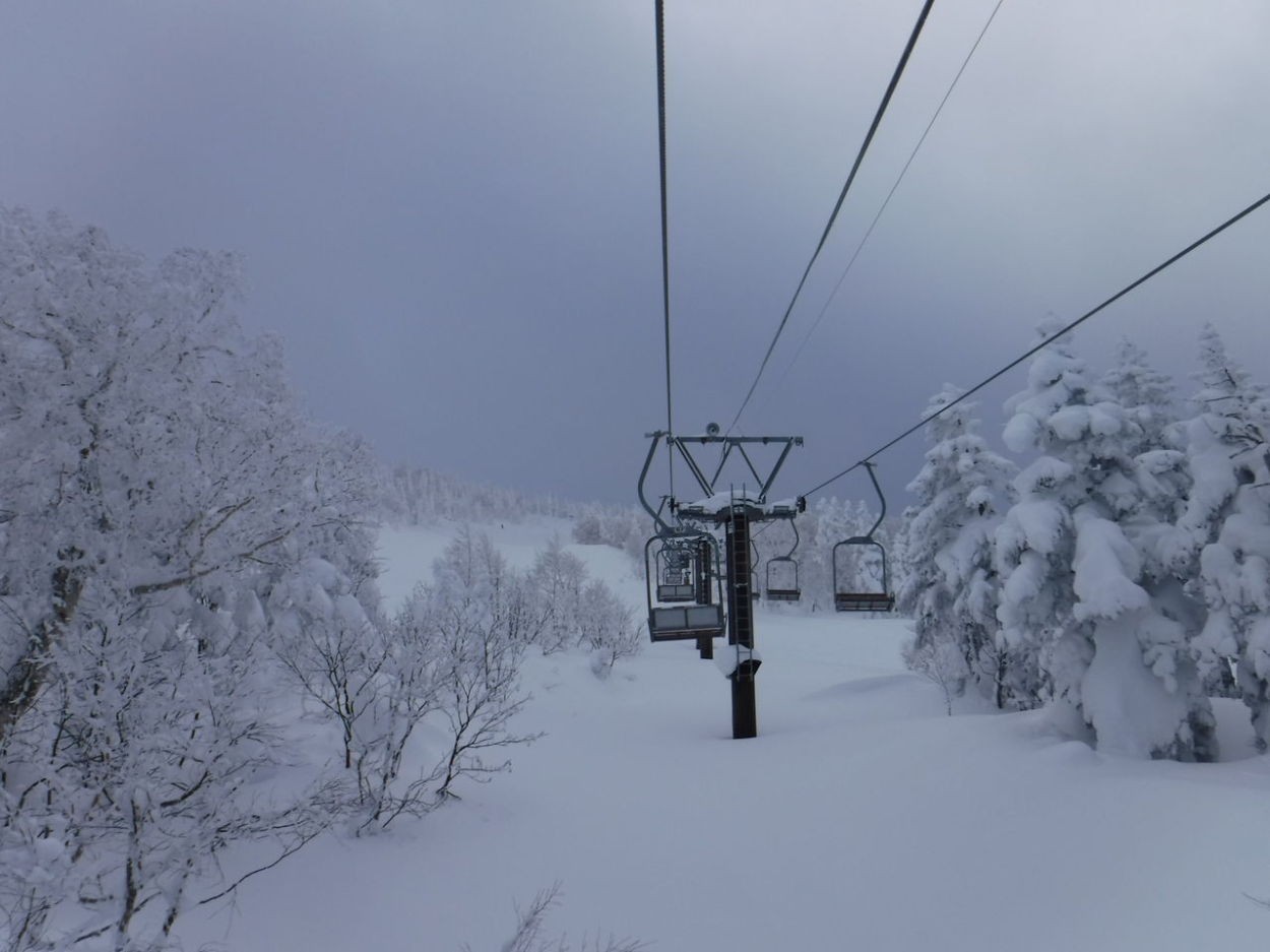 CLIFF-WHT Yahoo!店 ロゴ