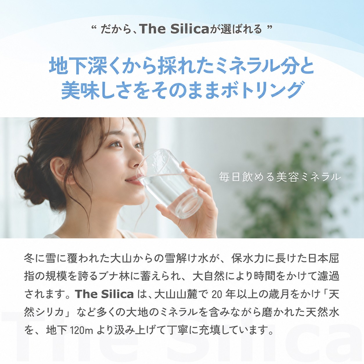 送料無料 国産 シリカ水 The Silica 500ml 24本 軟水 ファスティング 