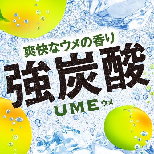 送料無料 1ケース ウィルキンソン ウメ 炭酸水 500ml 24本 送料無料