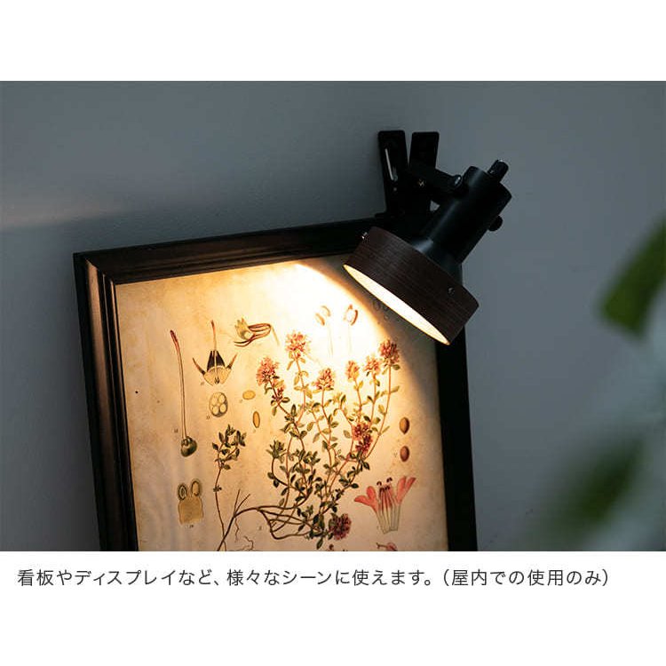 スポットライト 1灯 ナッシュ ディスプレイ 間接照明 デスクライト led 照明器具 リビング ダイニング 寝室 ベットサイド