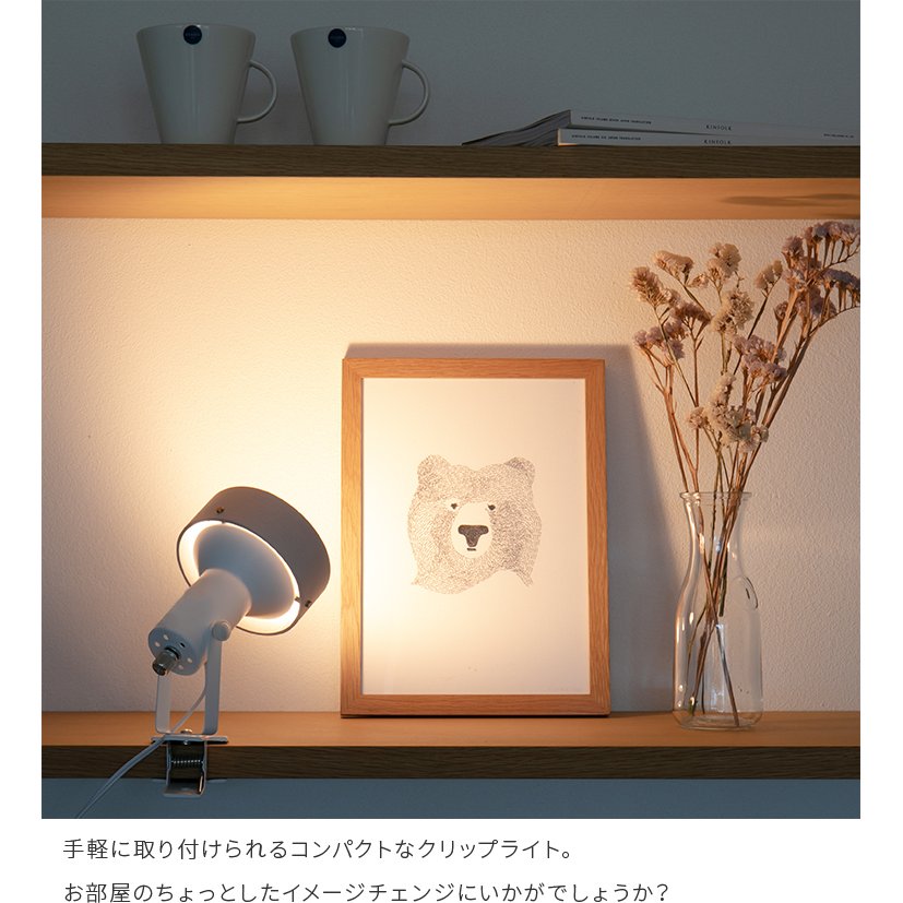 スポットライト 1灯 ナッシュ ディスプレイ 間接照明 デスクライト led 照明器具 リビング ダイニング 寝室 ベットサイド