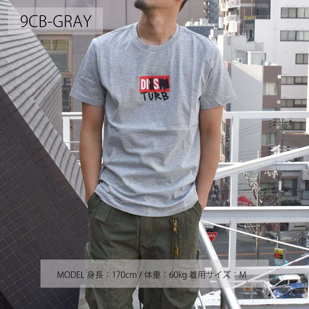DIESEL ディーゼル ボックスロゴTシャツ カットソー 半袖 クルー
