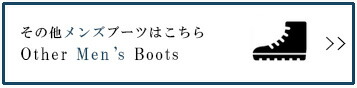 Ohter Men's Boots