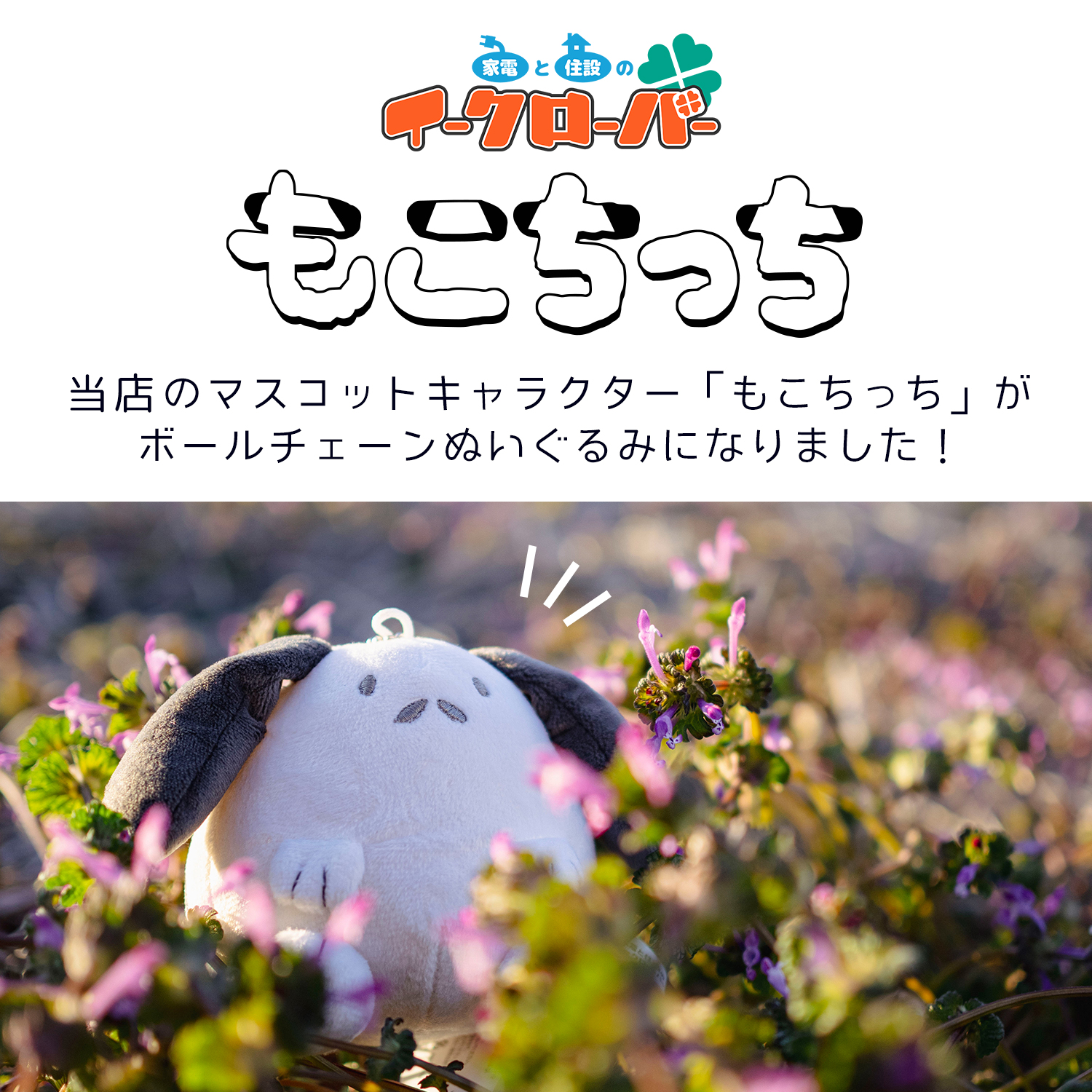 在庫あり》◇15時迄出荷OK！【もこちっちボールチェーン】ぬいぐるみ