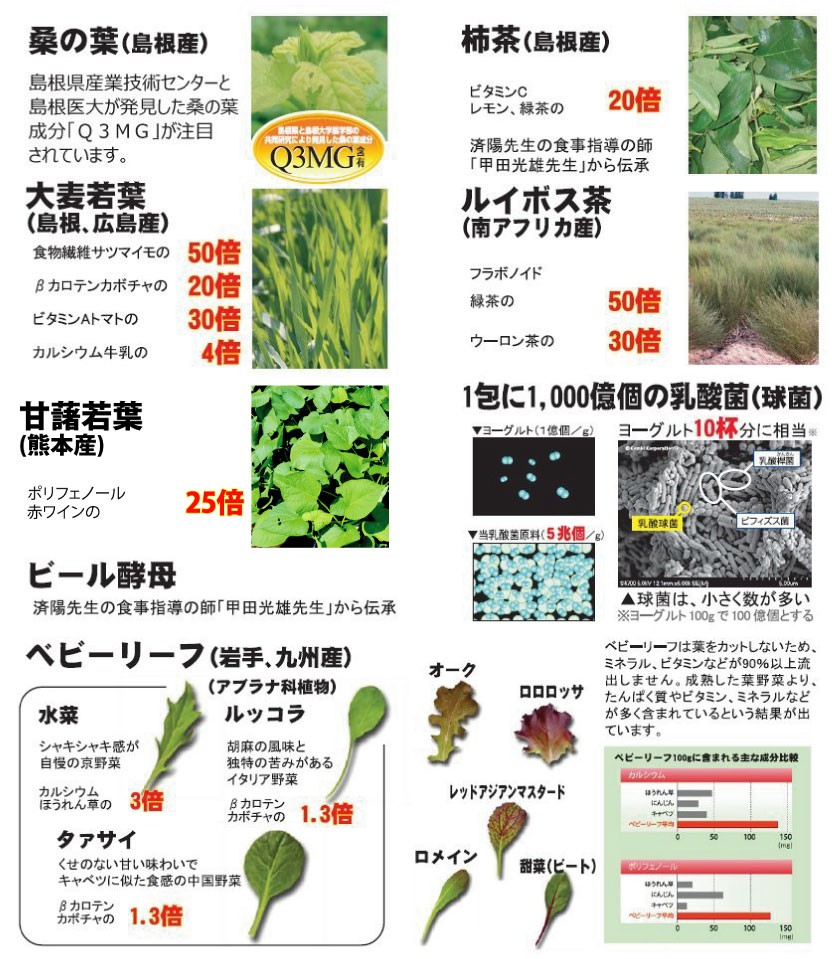 済陽式 健康野草ジュース 万葉効草EX 30包 - 青汁