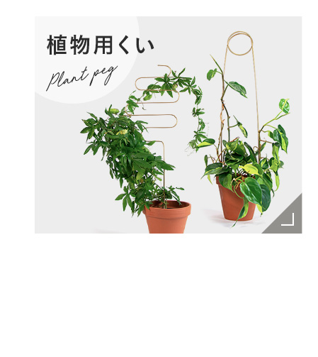 【新品】ACTUS プラントカバー 2個セット NODERIUM | プランターカバー 蓋付き（直径36cm）ブラック
