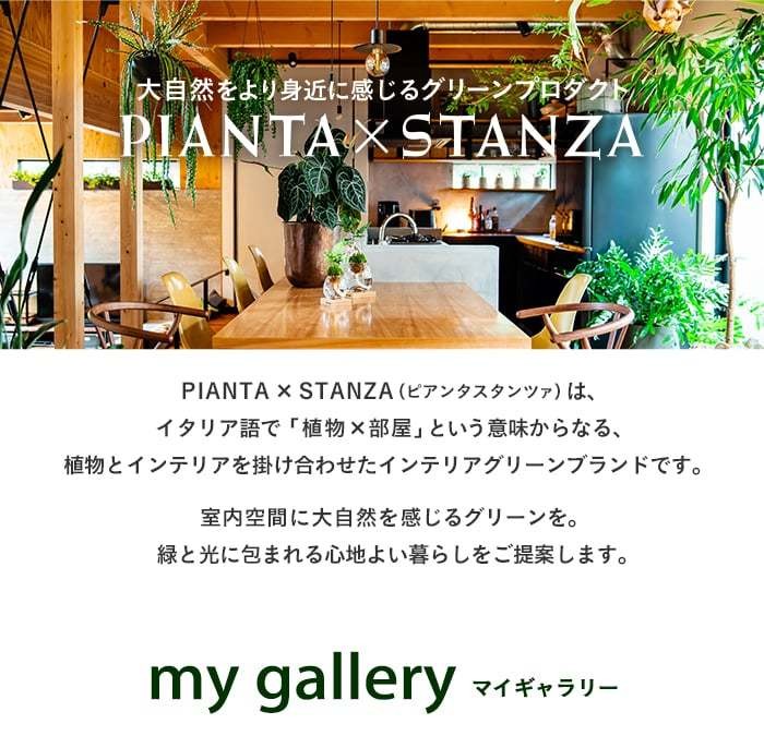 upstairs outdoor living - PIANTA×STANZA(ピアンタスタンツァ)（P