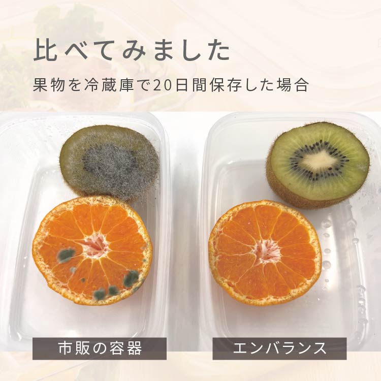 エンバランス 容器 味噌 効果 野菜保存容器 ...の詳細画像2