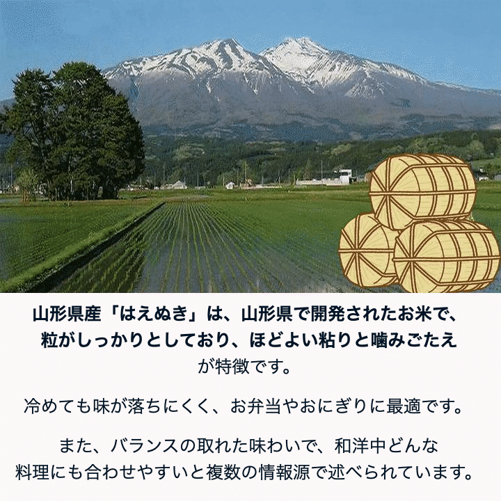 新米 20Kg 販売 送料無料 当日精米 令和7年度産 山形県産 お米
