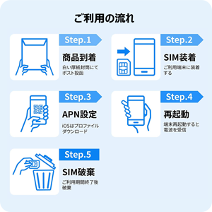 日本 プリペイドSIM 5GB/月1年間有効 Docomo回線 4G-LTE対応 データ