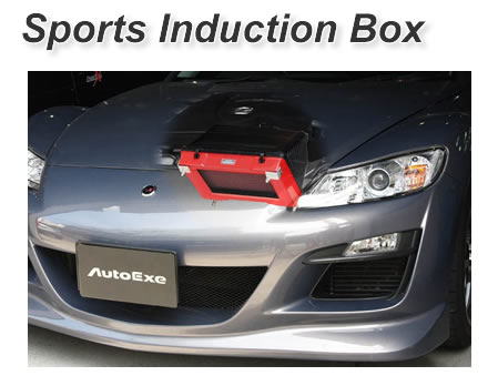 AutoExe I[gGO[ MKG957 X|[cC_NV{bNX tB^[ CX-8 KGnS