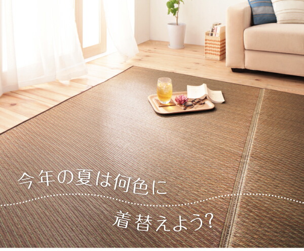 自然素材ラグ 30タイプから選べる国産ふっくらい草ラグ 140×200cm 絨毯 カーペット インテリア マット フロア 床飾り おしゃれ 高級 北欧_1