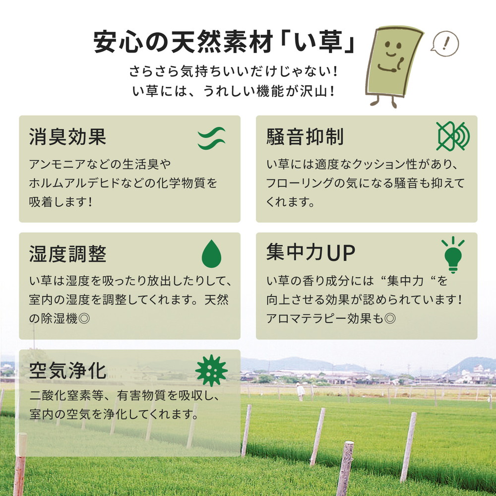 い草カーペット 柳川 江戸間 10帖 440×352 ラグ カーペット い草 畳 和室 床敷き 夏用 冷感 敷物 ナチュラル 省スペース 夏ラグ 和風_5