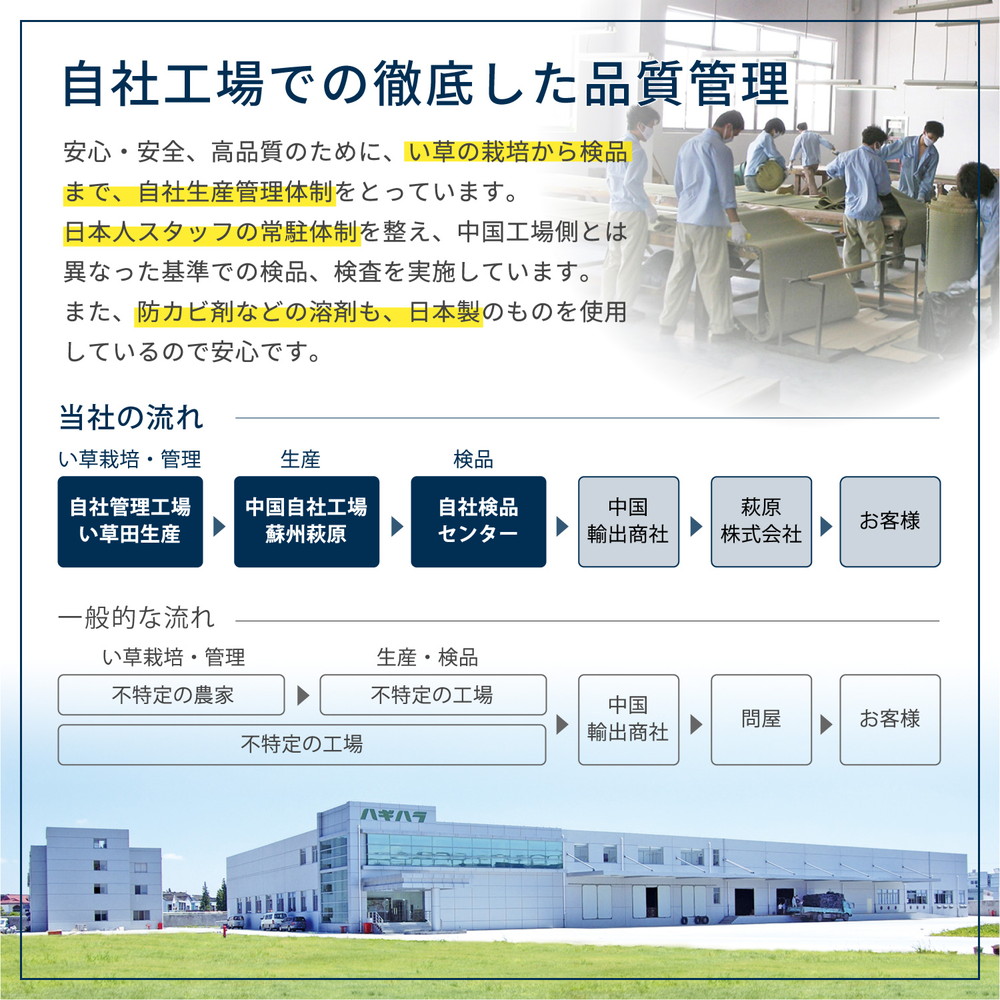 フリーカット裏付き い草カーペット みすず 江戸間 8帖 352×352 い草カーペット い草ラグ ラグ マット フリーカット 裏付き 江戸間 8帖_11