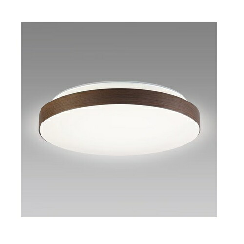 �z�^���N�X LED�V�[�����O HLDC08433SG | LED�V�[�����O���C�g 8�� ���F ���B���e�[�V �_�[�N�u���E��