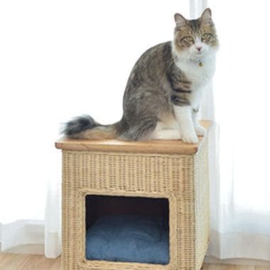 ペットハウススツール ハウス スツール テーブル ペットテーブル ペットハウス ペットベット 犬 猫 ドッグ キャット ペット クッション付き クッシ_6