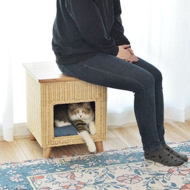 ペットハウススツール ハウス スツール テーブル ペットテーブル ペットハウス ペットベット 犬 猫 ドッグ キャット ペット クッション付き クッシ_9