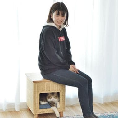 ペットハウススツール ハウス スツール テーブル ペットテーブル ペットハウス ペットベット 犬 猫 ドッグ キャット ペット クッション付き クッシ_10