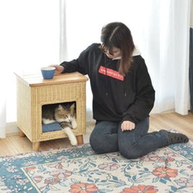 ペットハウススツール ハウス スツール テーブル ペットテーブル ペットハウス ペットベット 犬 猫 ドッグ キャット ペット クッション付き クッシ_12
