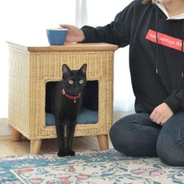 ペットハウススツール ハウス スツール テーブル ペットテーブル ペットハウス ペットベット 犬 猫 ドッグ キャット ペット クッション付き クッシ_13