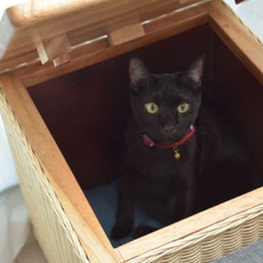 ペットハウススツール ハウス スツール テーブル ペットテーブル ペットハウス ペットベット 犬 猫 ドッグ キャット ペット クッション付き クッシ_17