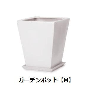 ǥݥå M դ | ȭ ȭ ꡼ݥå ǥ եݥå 鴶 鴶   Υ顼ץĥ㥶