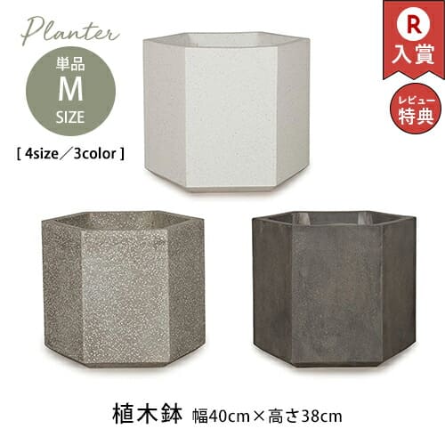 ǥݥå M | ȭ 緿 40cm ⤵38cm ȭ  ȭ ץ󥿡 ʿȭ ȭ  ץ󥿡 