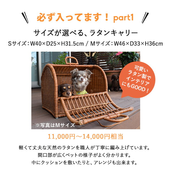 ペット用品 お得な4点セット イヌ用 | ペットキャリー バック キャリーバッグ おしゃれ 軽い 小型犬 移動ケージ ペットハウス ラタンキャリー 犬_3